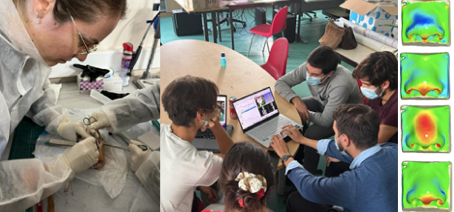 Master 2 Génie Mécanique pour les Cliniciens (MECENCLI)
